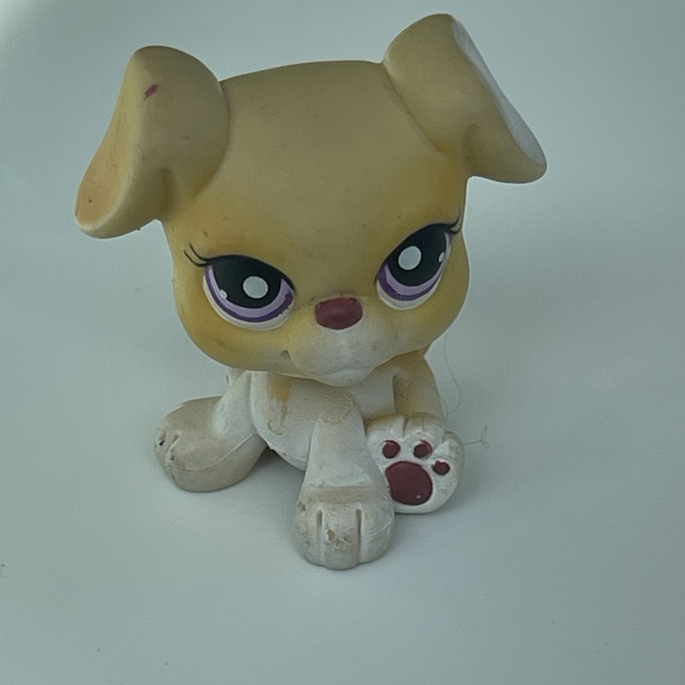 Authentic Littlest Pet Shop LPS - Boxer #451